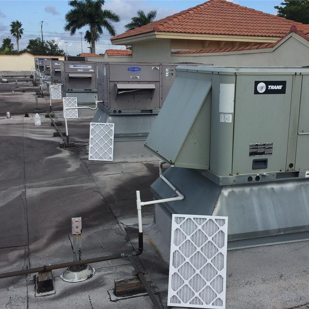 Trane and Carrier rooftop units in a row with fresh filters staged against each one, mid service